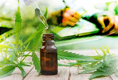 Chloe Baker, Director of Packaging Design, Tilray, Inc | Cannabis Business Insights