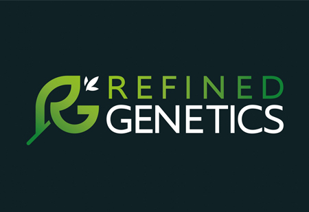Refined Genetics: Engineering Stable Cannabis Genetics for Commercial Cultivation