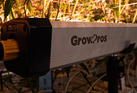 Chris O’Ferrell, Senior Director of Cultivation, Deep Roots Harvest | Cannabis Business Insights