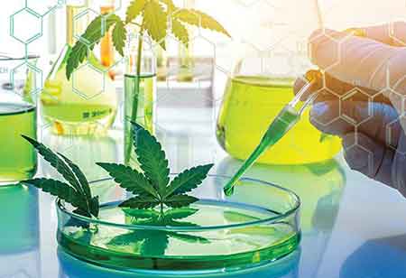 DJ Loeffelholz, Co-Owner; Ali Gansemer, Co-Owner; Joe Loeffelholz, Co-Owner,  RiverBluff Cannabis | Cannabis Business Insights